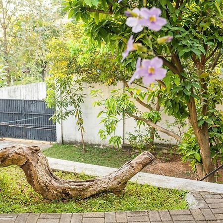 Battaramulla Boutique Villa 斯里贾亚瓦德纳普拉科特 外观 照片