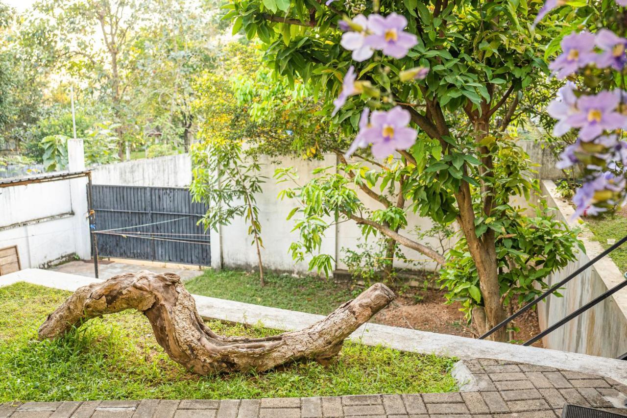 Battaramulla Boutique Villa 斯里贾亚瓦德纳普拉科特 外观 照片